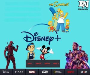 DISNEY+ PLAN STANDAR CUENTA COMPLETA